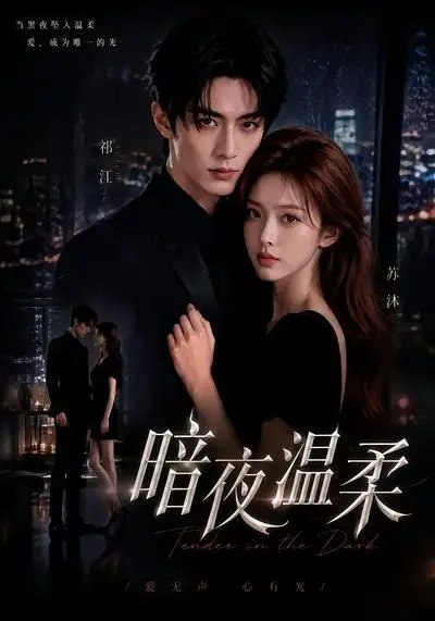 名称：暗夜温柔（25集）AI短剧描述：月光浸透的暗夜里，她攥着破碎的身世线索，撞进他藏满秘密的温柔怀抱