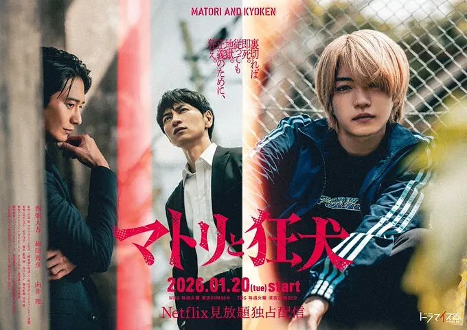 名称：[日本电视剧]《缉毒警与疯犬》（2026）描述：导演：品川祐、松下洋平主演：西畑大吾、向井理、森田想、九条ジョー、木村佑一类型：剧情 / 悬疑 / 犯罪 / 黑帮制片国家 / 地区：日本链接：🔗夸克：
