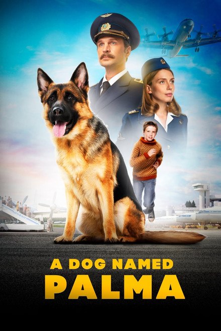 名称：俄罗斯电影《忠犬帕尔玛》（2021）描述：◎上映日期　2021-03-18(俄罗斯)链接：🔗夸克：