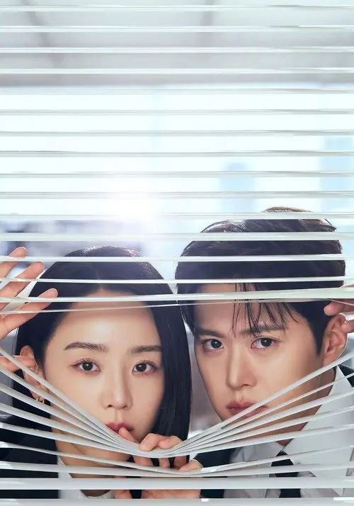 名称：隐秘的监察 (2026) 1080P 全12集 内封简繁字幕描述：在金碧辉煌的海雾集团里，流传着一个恐怖传说：只要被稽核室长朱仁雅盯上，你就死定了