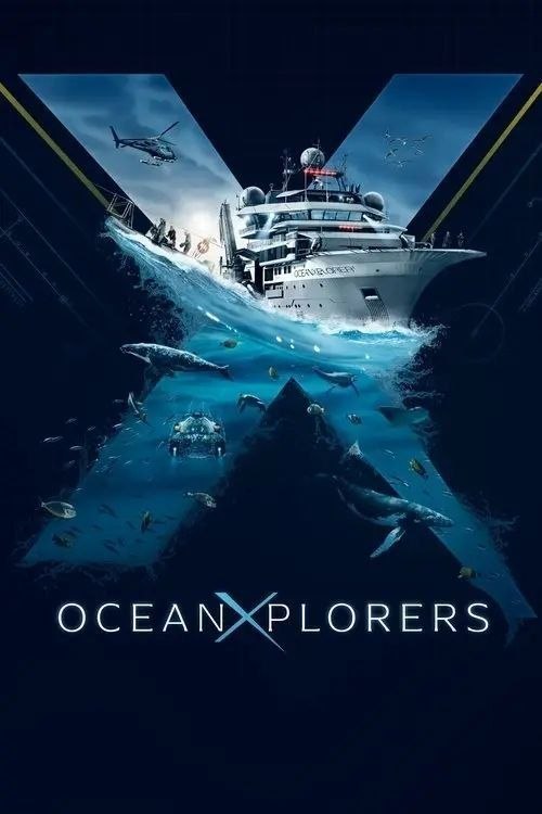 名称：深海探秘 (2024) 4K 全6集 简英双语硬字幕描述：带领观众登上先进的科学研究船OceanXplorer，探索世界海洋最遥远的边界，其中80%的区域尚未被完全探索
