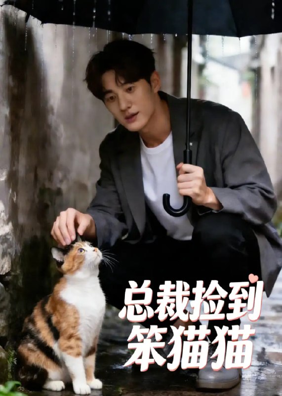 名称：总裁捡到笨猫猫（41集）AI短剧描述：雨夜惊魂，她意外化作软萌狸花猫，跌进冷峻总裁的怀抱