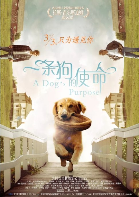 名称：电影 剧情 / 喜剧 / 家庭《一条狗的使命》美国（1-2部/2017/2019） 豆瓣7.7描述：导演: 拉斯·霍尔斯道姆主演: 乔什·加德 / 布丽特·罗伯森 / 丹尼斯·奎德 / 佩吉·利普顿 / K·J·阿帕类型: 剧情 / 喜剧 / 家庭制片国家/地区: 美国上映日期: 2017-03-03(中国大陆) / 2017-01-27(美国)片长: 101分钟链接：🔗夸克：