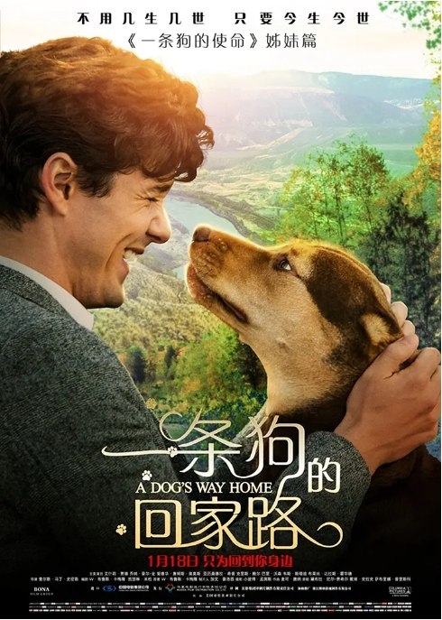 名称：电影 剧情 / 冒险《一条狗的回家路》美国（2019） 豆瓣评分6.8描述：导演: 查尔斯·马丁·史密斯主演: 艾什莉·贾德 / 乔纳·豪尔-金 / 狗狗谢尔比 / 亚历山德拉·希普 / 韦斯·斯塔迪类型: 剧情 / 冒险制片国家/地区: 中国大陆 / 美国上映日期: 2019-01-18(中国大陆) / 2019-01-11(美国)片长: 96分钟链接：🔗夸克：