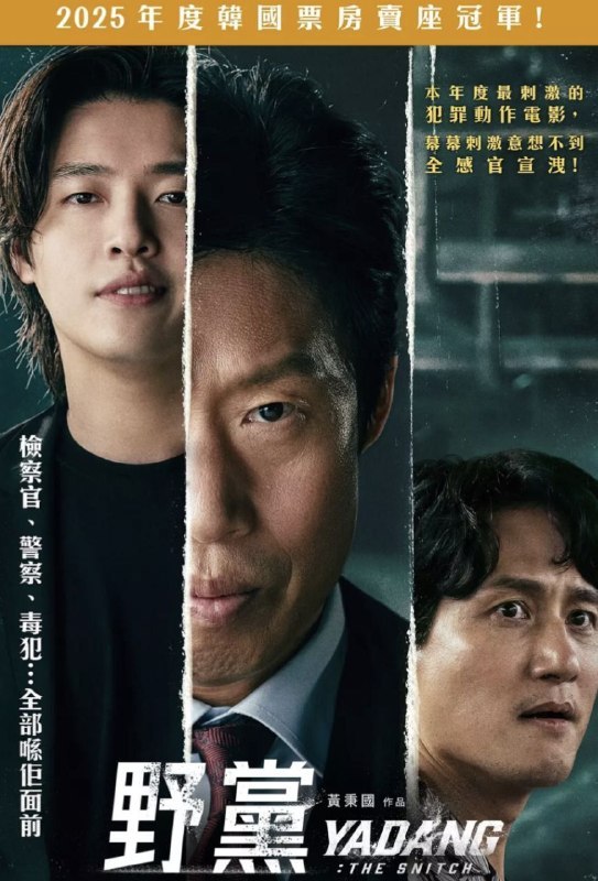 名称：【原盘】野党 (2025) 1080P REMUX 内封简繁字幕描述：讲述了在大韩民国毒品板块和调查机关之间来回穿梭，围绕震撼毒品世界的内幕“野党”展开的故事