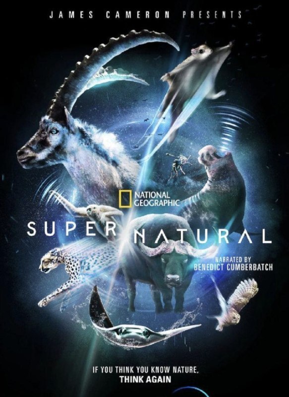 名称：超凡动物奇观 (2022) 4K 杜比视界 全6集 内封简繁英字幕描述：本片由詹姆斯·卡梅隆监制，由荣获奥斯卡奖提名和英国电影学院奖的本尼迪克特·康伯巴奇配音