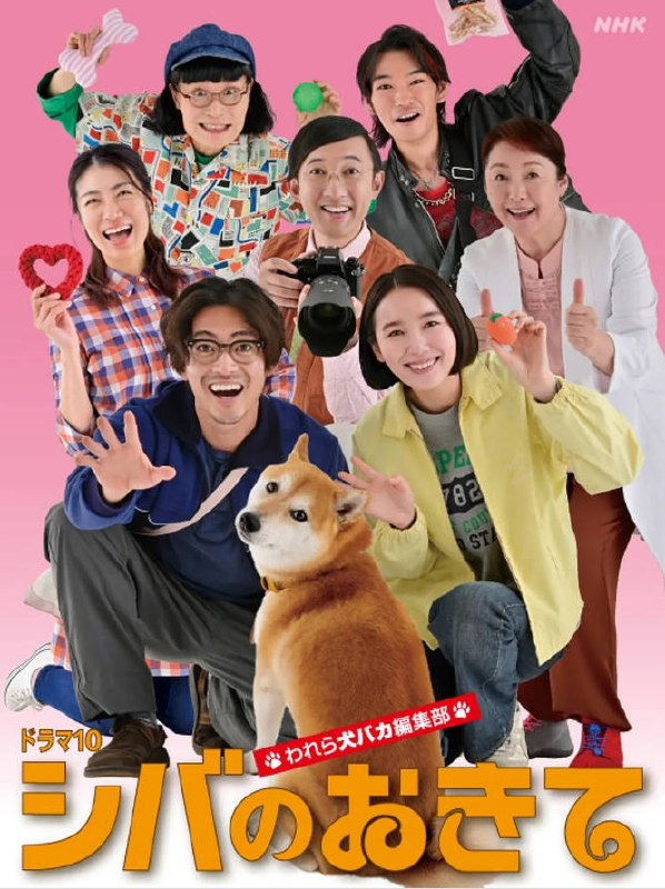 名称：日本电视剧《柴犬的规矩～我们这群狗痴编辑部～》[2025]描述：◎上映日期　2025-09-30(日本)链接：🔗夸克：
