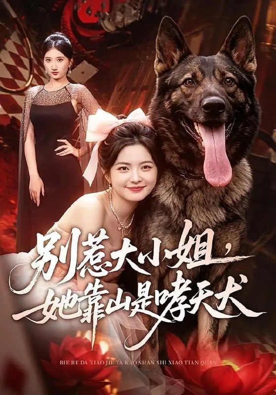 名称：别惹大小姐，她靠山是哮天犬&别惹大小姐她靠山是哮天犬（86集）常珂欣＆刘继泽描述：当顶级大小姐跌落尘埃，世人只道她再无依仗，却不知她腕间银铃一响，上古神犬哮天犬便踏云而至