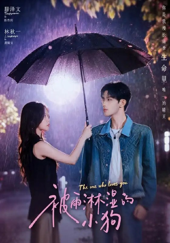 名称：被雨淋湿的小狗（80集）林秋一＆滕泽文描述：雨夜街头，一只