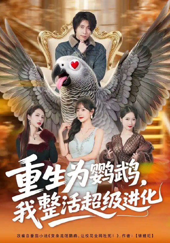 名称：重生为鹦鹉，我整活超级进化&重生为鹦鹉我整活超级进化（70集）王钰威＆王琳惠描述：羽翼囚魂，啼鸣启智