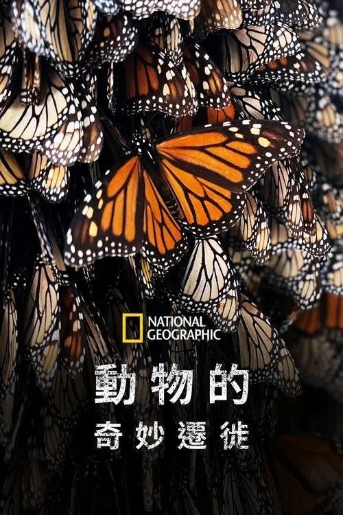 名称：生灵奇旅 (2023) 4K HDR10 全7集 内封繁中字幕描述：人类可能相信自己是世界上最伟大的探险家，但事实并非如此