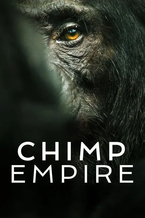 名称：黑猩猩帝国 (2023) 4K HDR & Dv 全4集 内封简繁英字幕描述：庞大的黑猩猩群落在乌干达的森林中繁衍生息，应对复杂的社会关系、家族变迁以及危险的领地争端