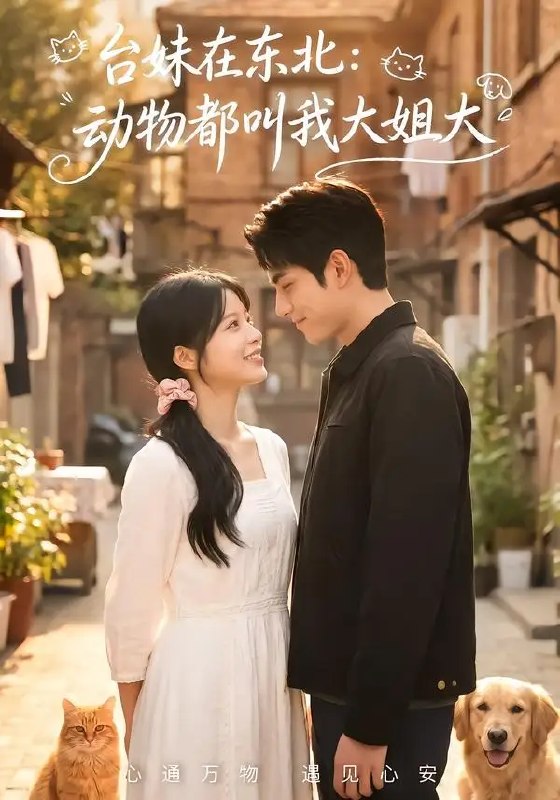名称：台妹在东北：动物都叫我大姐大&台妹在东北动物都叫我大姐大（63集）AI短剧描述：当软糯台妹撞上凛冽东北雪原，方言碰撞出奇妙火花