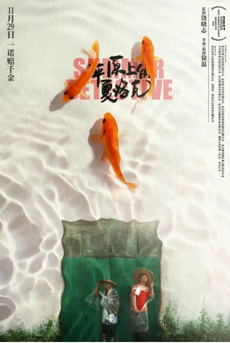 名称：国内电影 剧情 / 喜剧 / 悬疑《平原上的夏洛克》(2019) 豆瓣评分7.8描述：导演: 徐磊主演: 徐朝英 / 张占义 / 宿树合类型: 剧情 / 喜剧 / 悬疑制片国家/地区: 中国大陆上映日期: 2019-11-29(中国大陆) / 2019-07-22(FIRST青年影展)片长: 98分钟链接：🔗夸克：