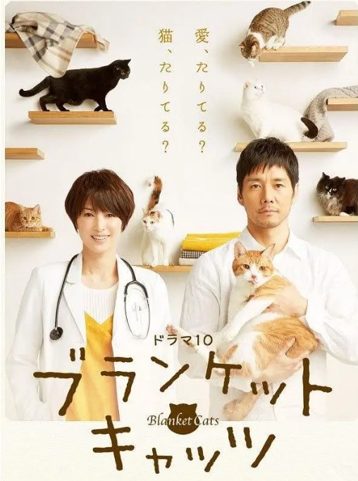 名称：[日剧]《毛毯猫》（2017）描述：导演: 大谷太郎 / 本多繁胜主演: 西岛秀俊 / 吉濑美智子 / 岛崎遥香 / 唐田英里佳 / 酒井美纪 / 更多…类型: 剧情 / 爱情制片国家/地区: 日本单集片长: 48分钟链接：🔗夸克：