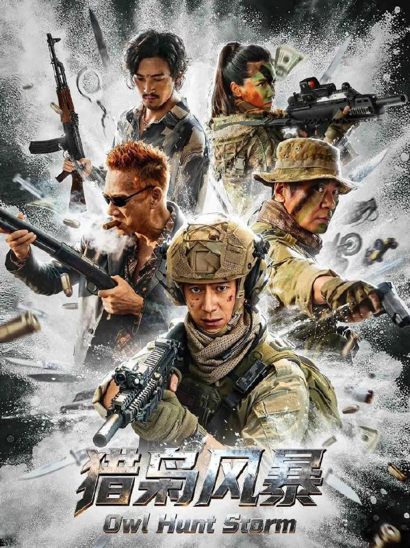 名称：中国大陆电影《猎枭风暴》[2026][动作 犯罪 ]描述：◎上映日期　2026-02-04(中国大陆网络)链接：🔗夸克：