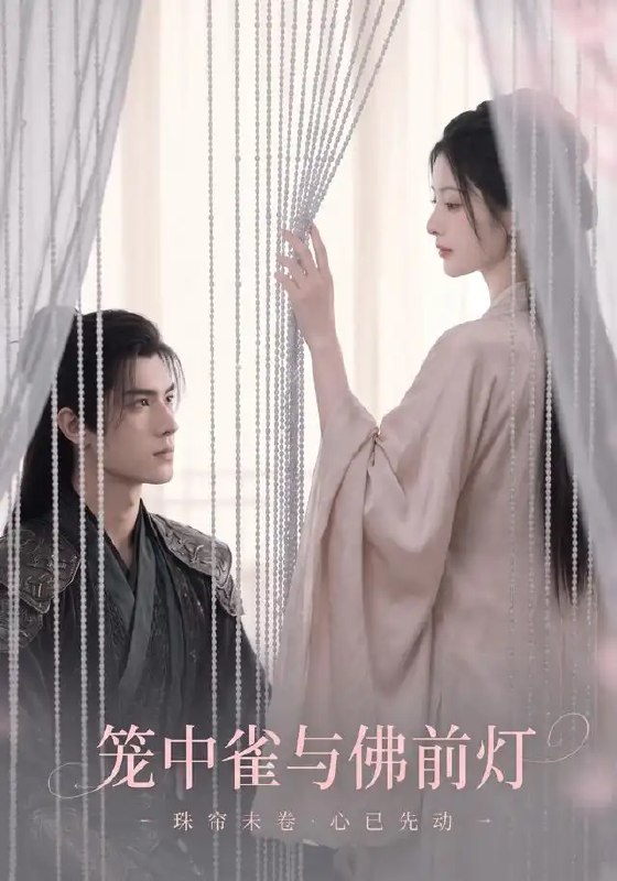 名称：笼中雀与佛前灯（68集）AI短剧描述：佛前青灯映照她被囚禁的十年，金笼里的雀鸟撞得羽翼染血