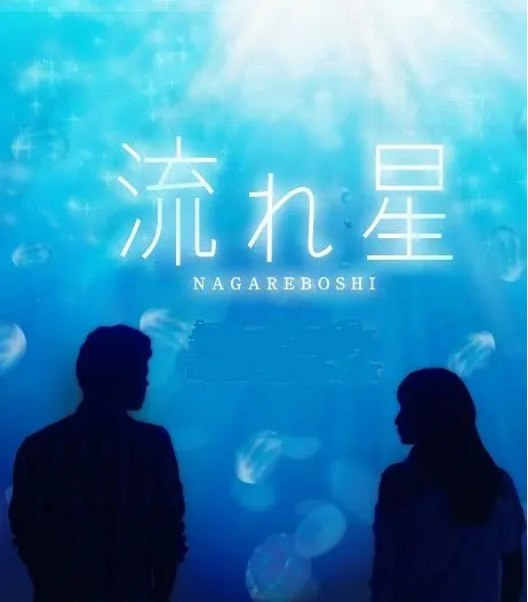 名称：[日剧]《流星》（2010）描述：导演: 宫本理江子 / 石井祐介 / 並木道子主演: 竹野内丰 / 上户彩 Aya Ueto / 松田翔太 / 北乃绮 / 山崎树范 / 更多…类型: 剧情 / 爱情制片国家/地区: 日本单集片长: 54分钟链接：🔗夸克：